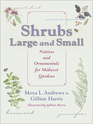 cover image of Shrubs Large and Small